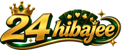 24 hibajee